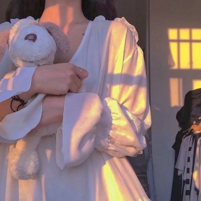 恋上女镖师